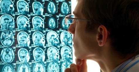 Occipital Lobe Damage: How It Affects Vision & Recovery