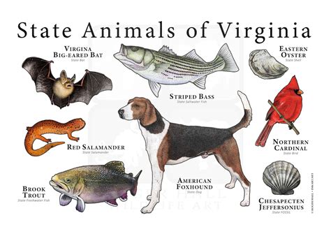 Virginia State Animals Poster Print | Etsy