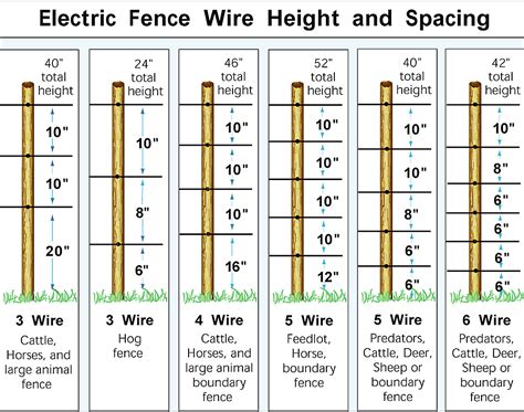 Electric Fence for Raccoons | Fence for Squirrles and Rabbits - Zareba