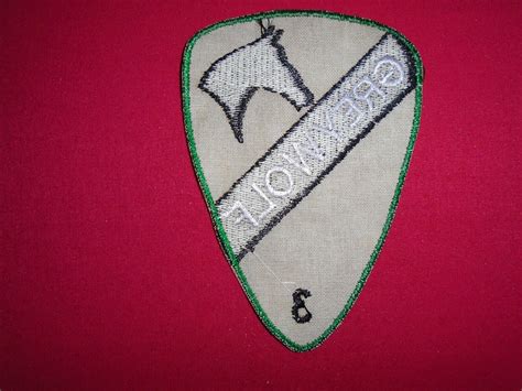 Vietnam War Patch US 3rd Brigade GREYWOLF 1st Cavalry Division | eBay