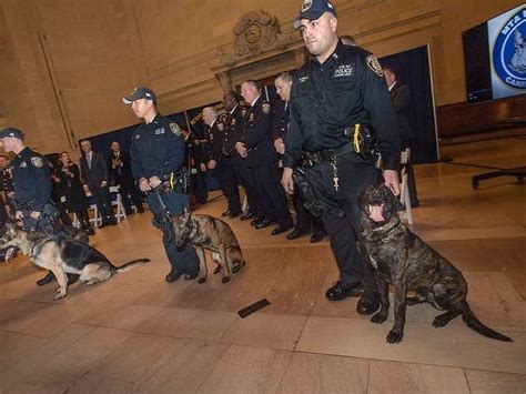 PHOTOS: See The Furry New Recruits To NYC's War On Terror | Midtown, NY ...