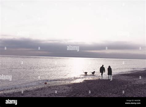 Couple Walking with Dogs along Hayling Island Beach at Sunset Hampshire ...