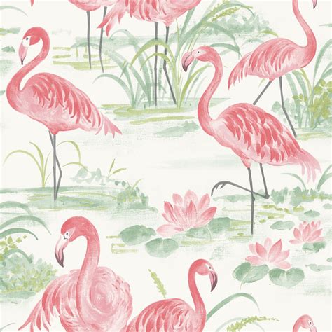 NuWallpaper Pink Flamingo Beach Peel and Stick Wallpaper, NUS3679 ...