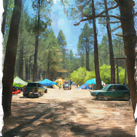 Dogwood Family Campground Camping Area | California Camping Destinations