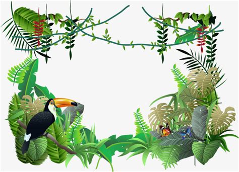 amazon jungle clipart 10 free Cliparts | Download images on Clipground 2024