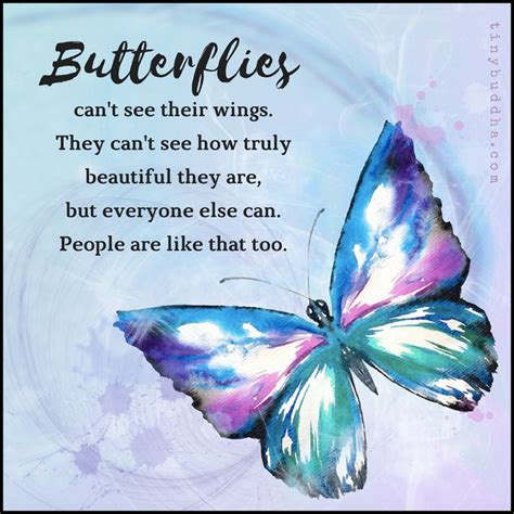 Related image | Butterfly quotes, Beautiful butterflies quotes, Tiny buddha