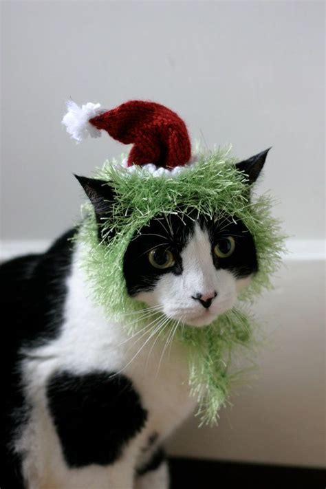 The Grinch Cat Hat Christmas Dr Seuss Pet Costume | Etsy | Christmas cats, Pet costumes, Cat ...