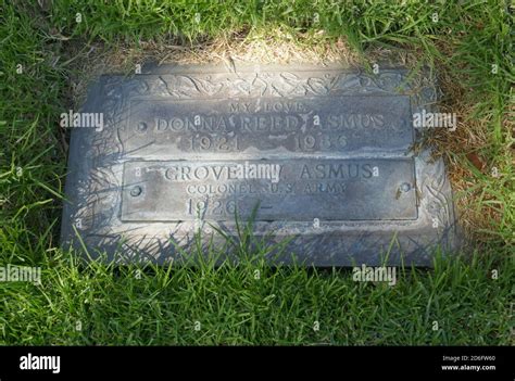 Donna reed actress hi-res stock photography and images - Alamy