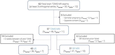 Frontiers | Assessment of fetal corpus callosum biometry by 3D super ...