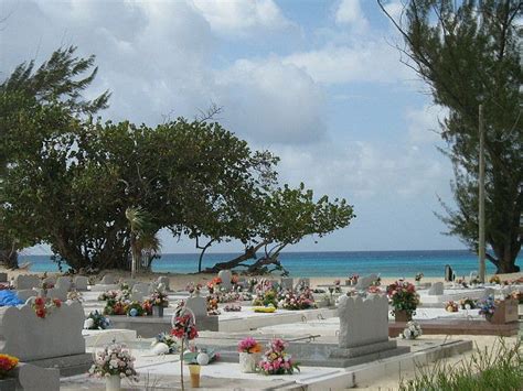 Cemetery Beach - Amazing Snorkeling! | Grand cayman, Grand cayman ...