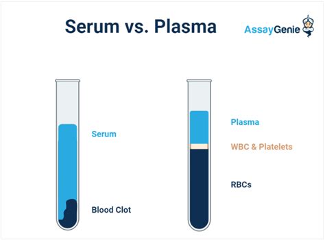 Serum vs. Plasma: A Deep Dive into Their Molecular Makeup and ...