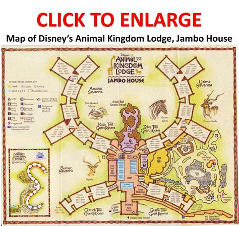 Review: Disney's Animal Kingdom Villas-Jambo House - yourfirstvisit.net