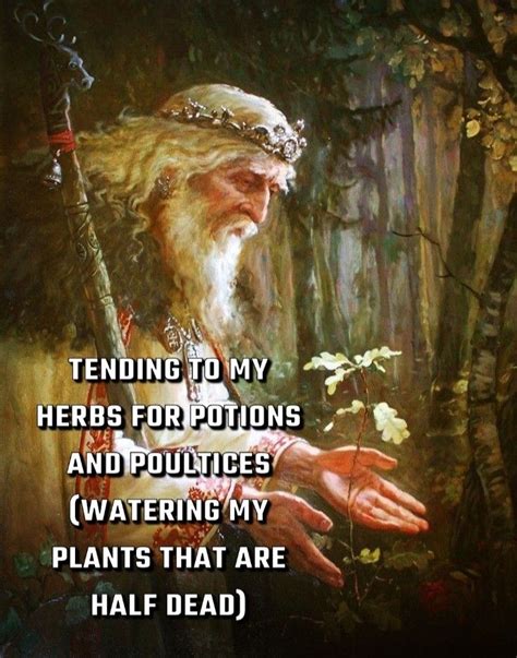 Wizard meme watering plants – Artofit