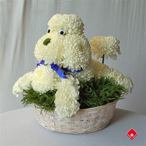 17 Beautiful Flower Arrangements For Dog Lovers