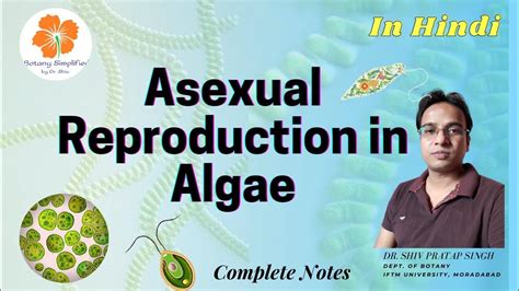 Asexual Reproduction in Algae | Zoospores | Aplanospores | Hypnospores | Akinetes | Hyterocyst ...