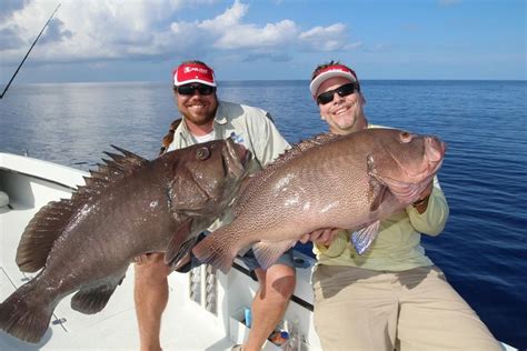 Deep Dropping in Florida! Warsaw Grouper and The first ever Kitty ...