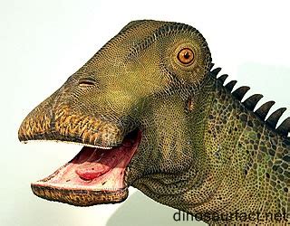 Nigersaurus dinosaur