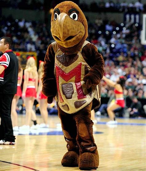 Maryland Terrapins Mascot – Transborder Media