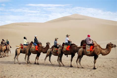 Camel Caravan in the Desert Editorial Stock Photo - Image of empty, cloud: 26237793