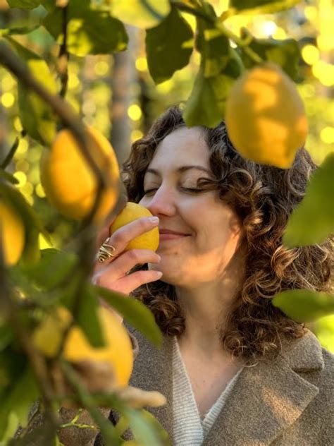 Discover, Harvest & Taste Sorrento Lemons | GetYourGuide