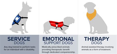 Emotional Support Dog Training | Ridgeside K9 LLC | Virginia