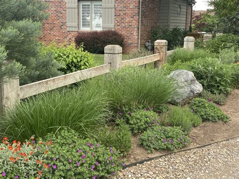 Don't have a fence? Plant one! Here are 3 ways to use ornamental grass ...