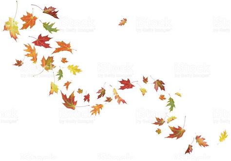 Autumn Leaves Blowing In The Wind Stock ... | Fall leaves tattoo, Tree tattoo drawings, Leaf tattoos