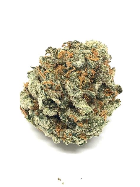 MASTER KUSH – QualityBudz Mail Order Marijuana