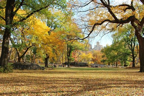 Seasons in the USA: Weather and Climate