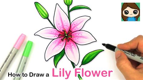 How To Draw A Stargazer Lily - Rowwhole3