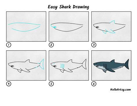 Easy Shark Drawing - HelloArtsy