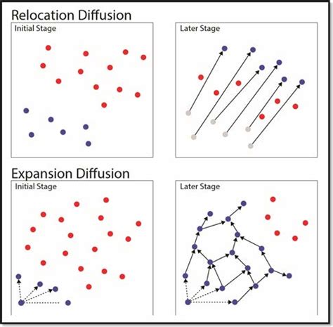 Understanding Diffusion In Geography - vrogue.co