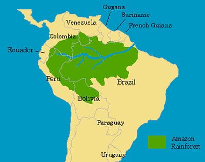 Amazon Rainforest On World Map