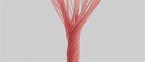 ELASTICS on Behance