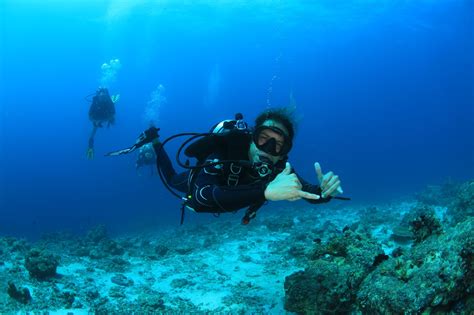 Scuba Diving in the Maldives | Resort News & Things To Do In The ...