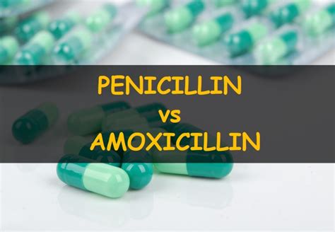 Penicillin vs Amoxicillin