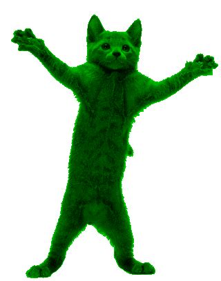 Download Funny Cat Dance Gif Png Gif Base - vrogue.co
