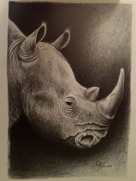 RHINO DRAWING IN PENCIL on Behance