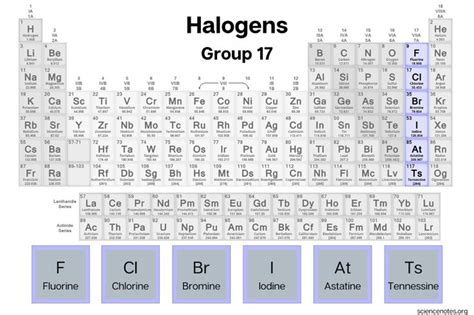 Halogen Elements - List and Facts | Electron configuration, Electron ...