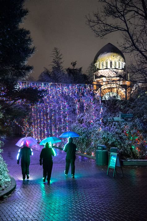 The Zoo's Festival of Lights Is Otherworldly After a Snow | Cincinnati Refined