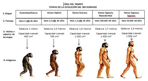 SOCIALESYA: 6° - Taller 3.2.1. Líneas del tiempo: Evolución del ser humano