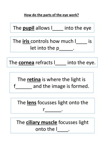 Parts Of The Eye For Kids Worksheet