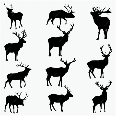 Premium Vector | Buck silhouettes