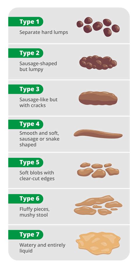 Bristol Stool Chart Poo Chart Stool Chart Goodmix Superfoods | Porn Sex Picture