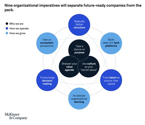 How McKinsey and Company’s “Radically Better Organization” Framework Applies to Freelancers ...