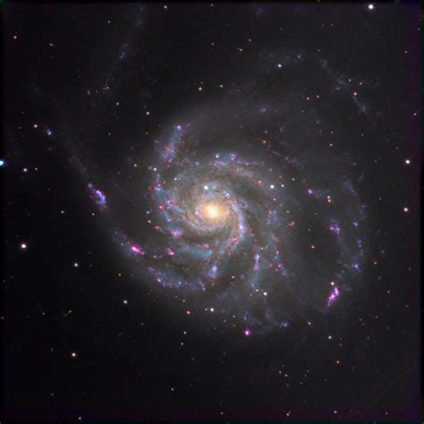 M101 The Pinwheel Galaxy | Telescope Live