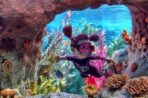 Finding Nemo Ride at Disneyland: Things You Need to Know