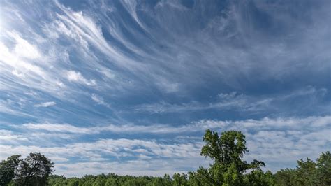 Every species of cirrus cloud (castellanus, fibratus, floccus ...