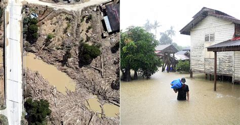 Did deforestation cause the Pahang floods? Here's what we know so far ...