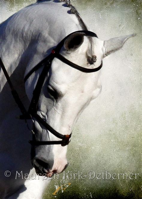 Horse photography art equine fine art photography 3 photos